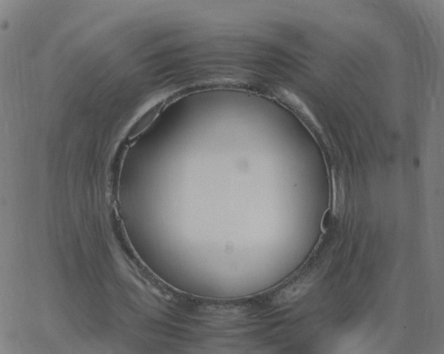 X0000066100435200603312029