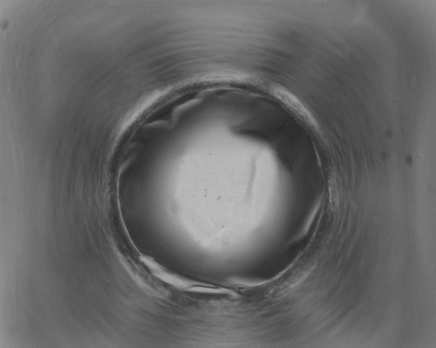 X0000066100436200603312029