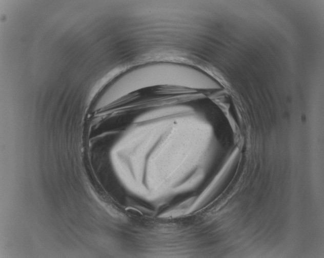 X0000066100438200603312029