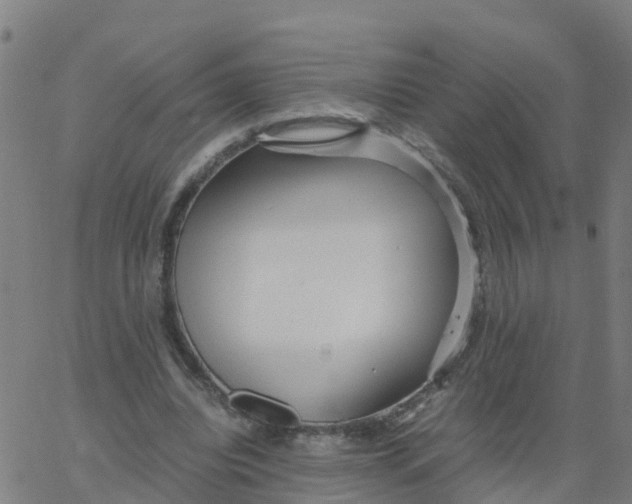 X0000066100440200603312029