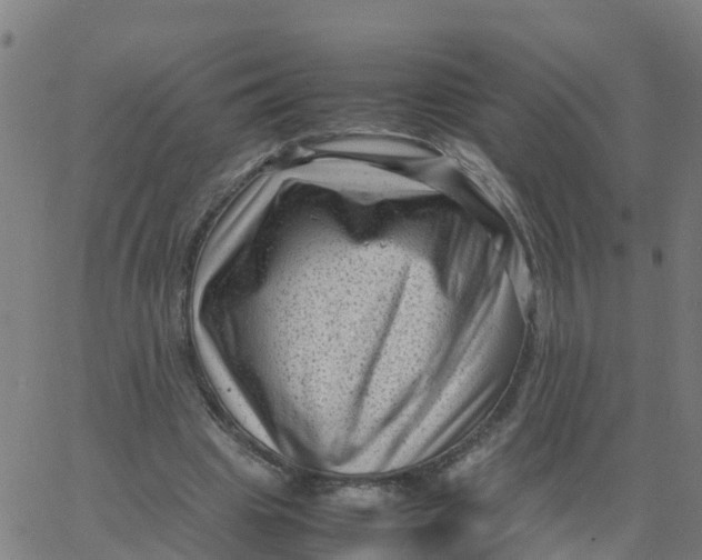 X0000066100441200603312029