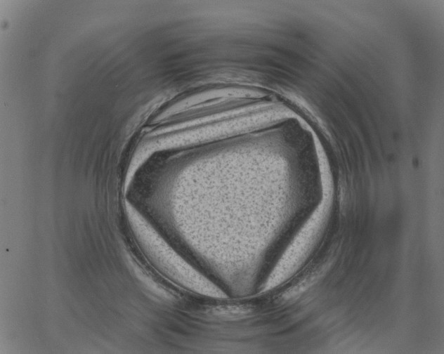 X0000066100445200603312029