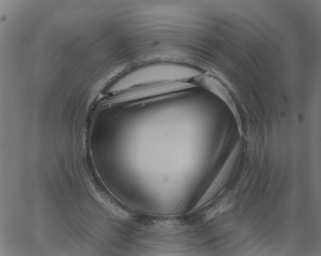 X0000066100446200603312029