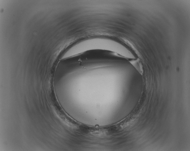 X0000066100447200603312029