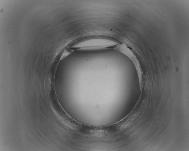 X0000066100448200603312029