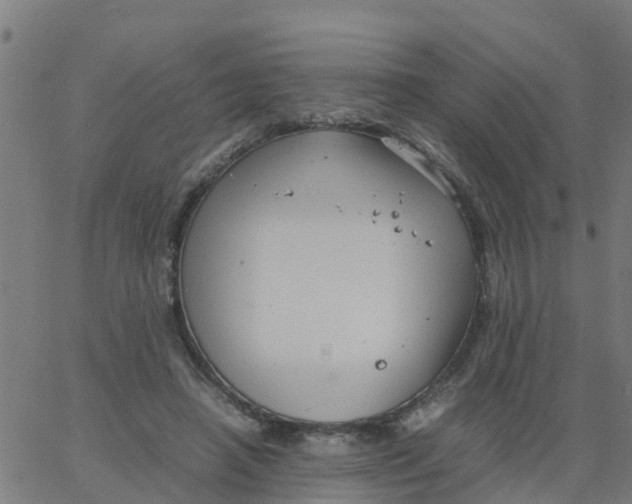 X0000066100450200603312029