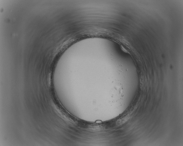 X0000066100454200603312029