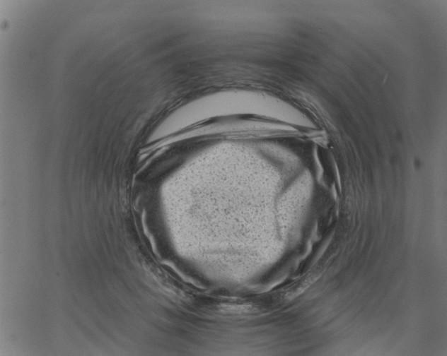 X0000066100457200603312029