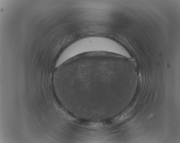 X0000066100458200603312029