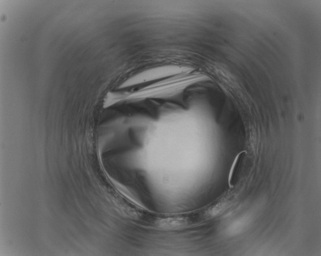 X0000066100461200603312029