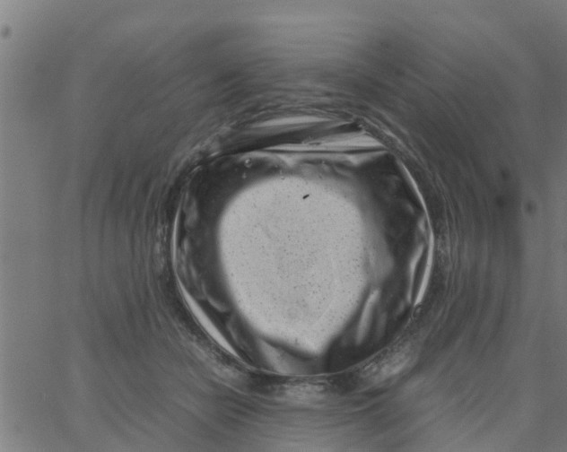 X0000066100462200603312029