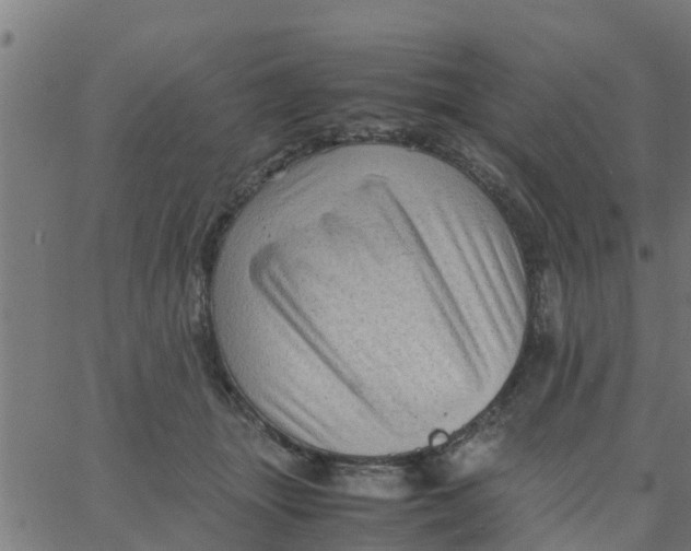 X0000066100463200603312029