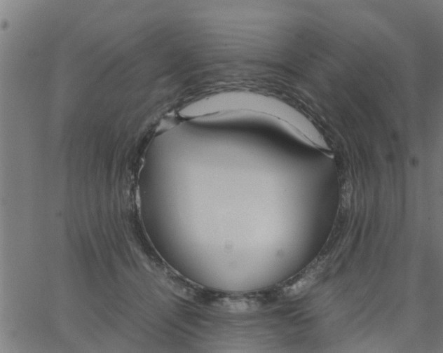 X0000066100464200603312029