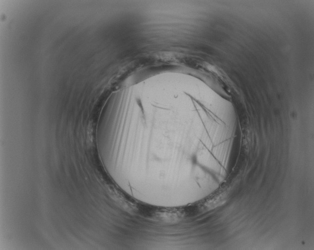 X0000066100466200603312029