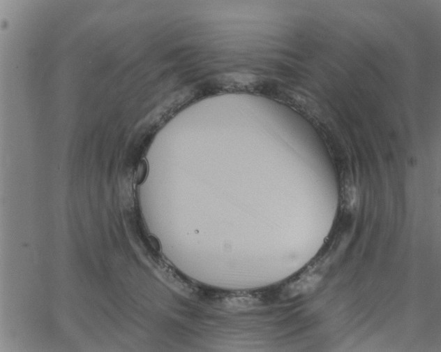 X0000066100468200603312029