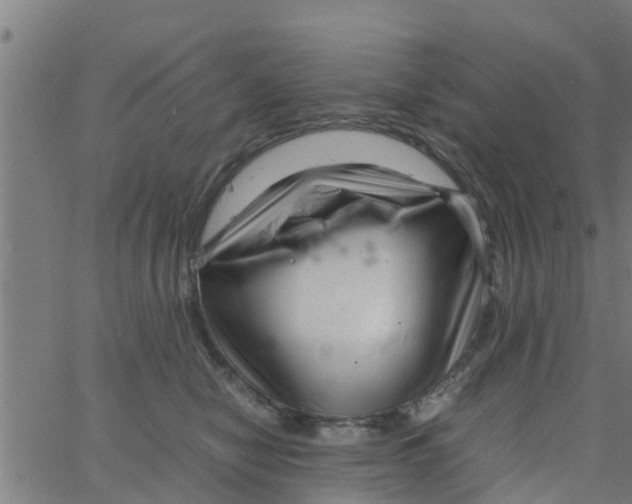 X0000066100470200603312029