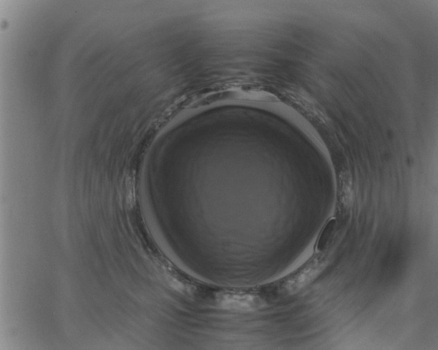 X0000066100471200603312029