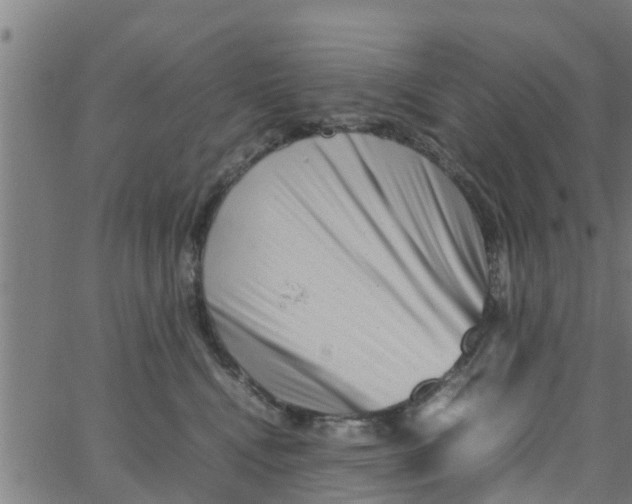 X0000066100472200603312029