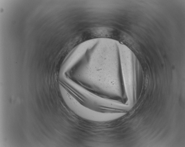 X0000066100473200603312030