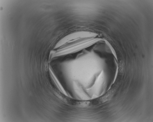 X0000066100474200603312030