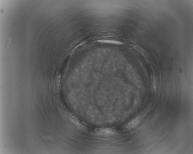 X0000066100475200603312030