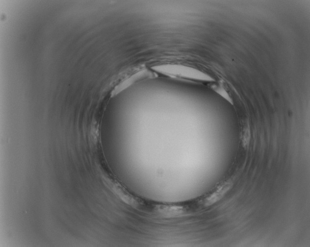 X0000066100476200603312030