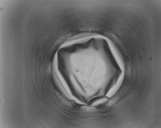 X0000066100477200603312030