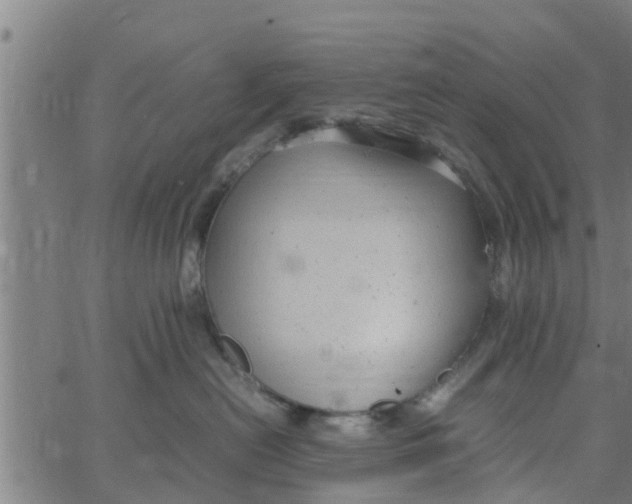 X0000066100478200603312030