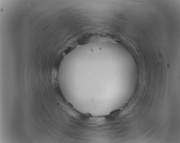 X0000066100480200603312030