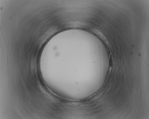 X0000066100482200603312029