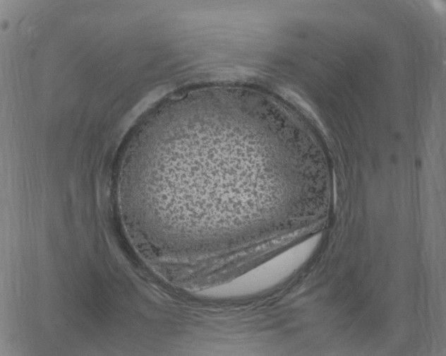 X0000066100483200603312029