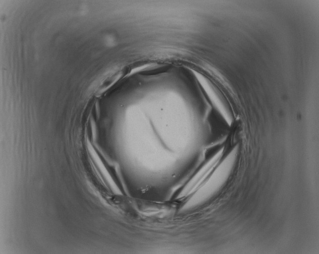 X0000066100485200603312029