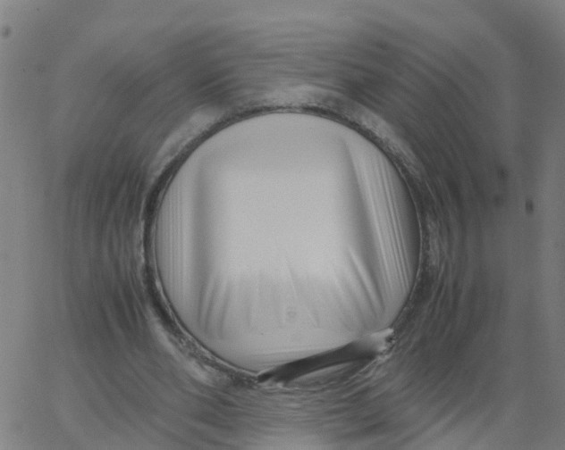 X0000066100486200603312029