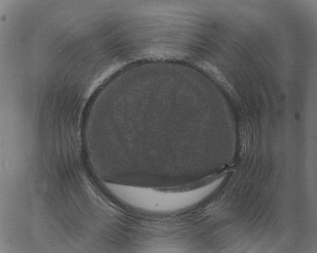 X0000066100488200603312029