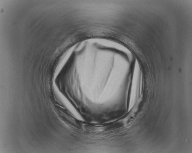 X0000066100489200603312029