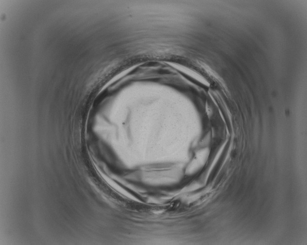 X0000066100493200603312029