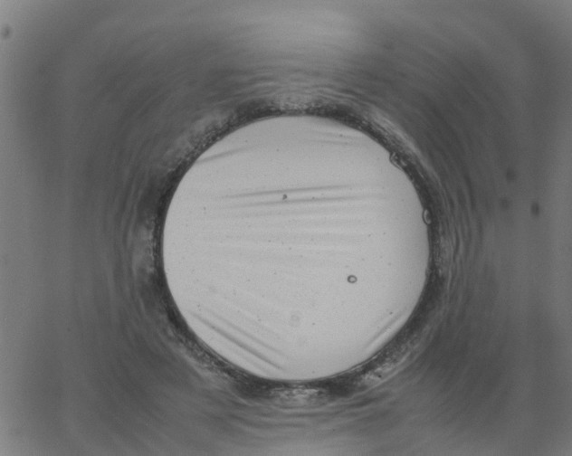 X0000066100497200603312029