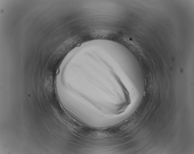 X0000066100498200603312029