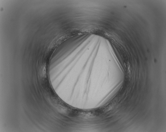 X0000066100502200603312029