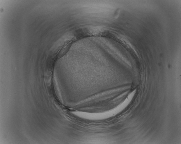 X0000066100505200603312028