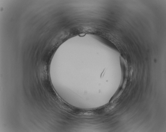 X0000066100506200603312028