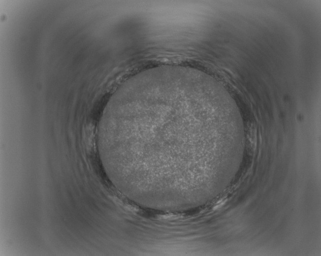 X0000066100511200603312028