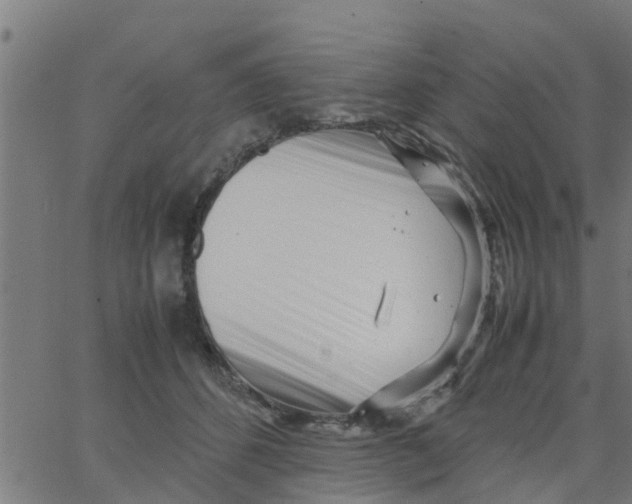 X0000066100512200603312028