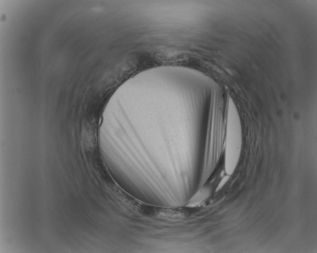 X0000066100515200603312028