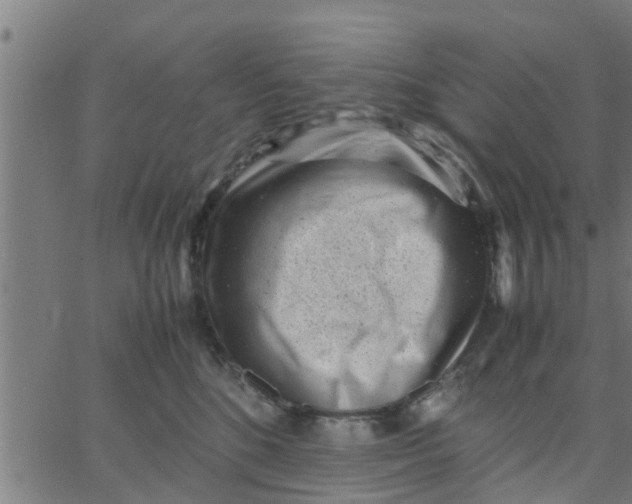 X0000066100520200603312028