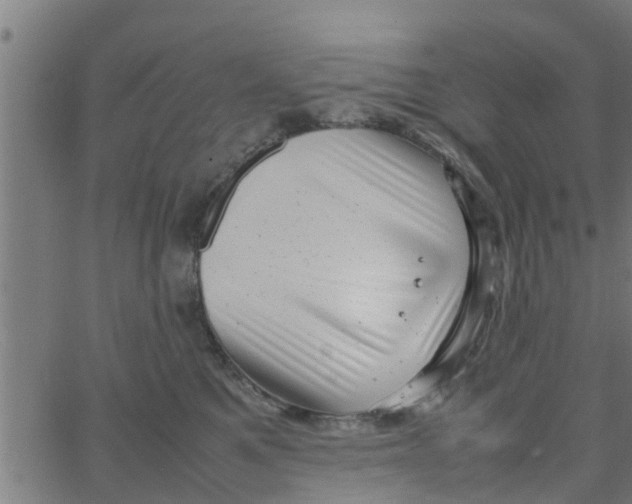 X0000066100521200603312028