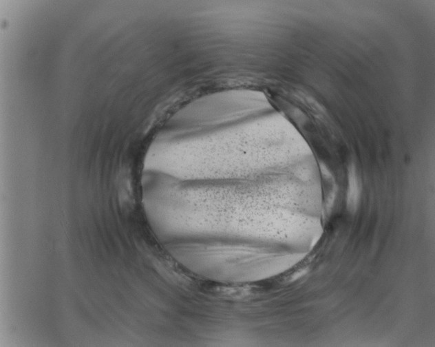 X0000066100524200603312028