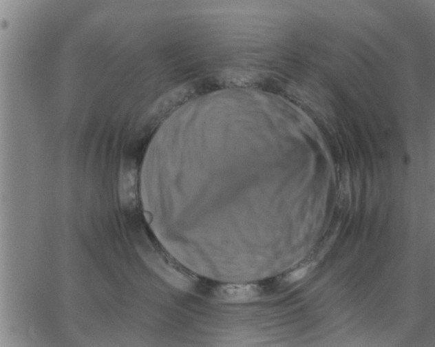 X0000066100526200603312028