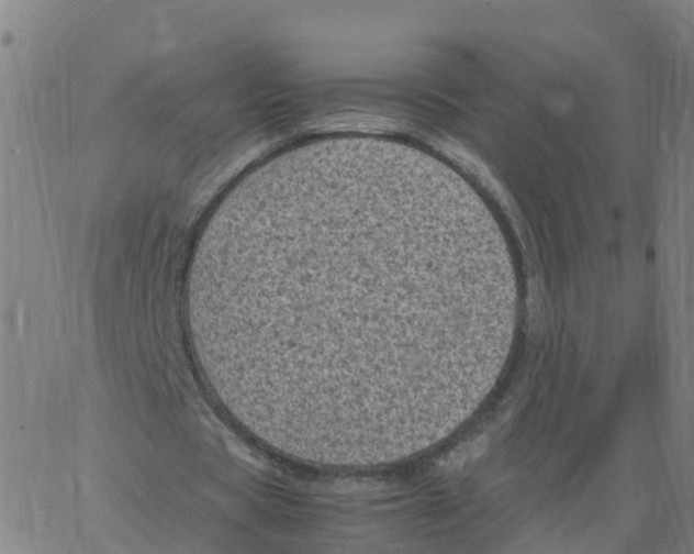 X0000066100529200603312027