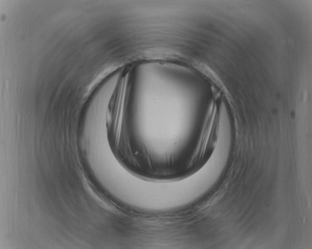 X0000066100530200603312027